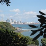 Traumstadt Auckland Nordinsel