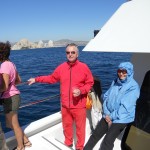 Whale watching Cabo San Lucas