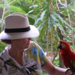 Fauna