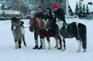 shetlands-cmyk1 Thomas hat´s gefallen!