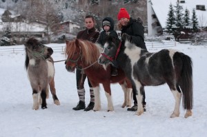 Ponillino im Reitclub Innsbruck-Igls Chilly, Fini und Pepper