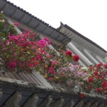 Cartagena Altstadt UNESCO Weltkulturerbe